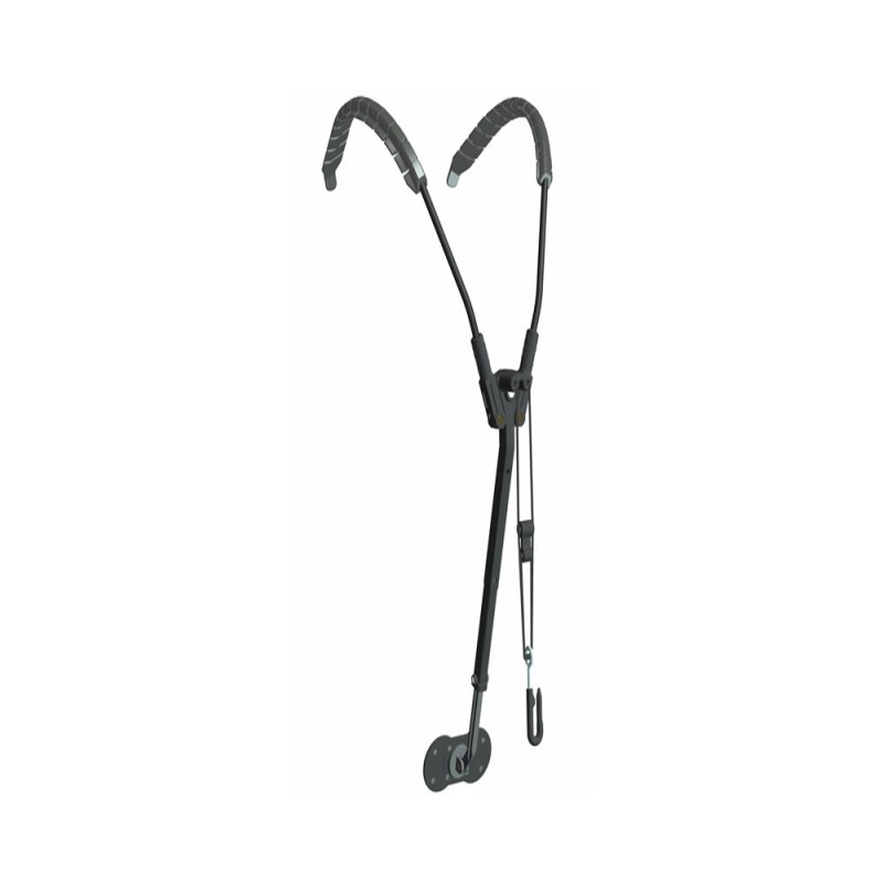 Corrrea saxo Saxholder Corrrea saxo Saxholder