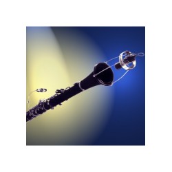 Micrófono para clarinete - SD SYSTEMS LCM82
