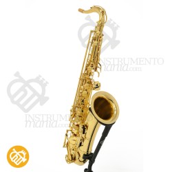 Saxo Tenor YANAGISAWA T-WO1