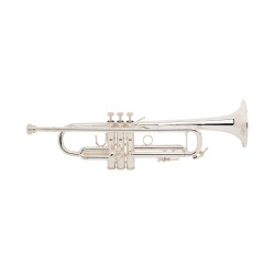 Trompeta BACH LR180 ML-37 plateada