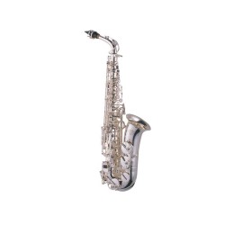 Saxo alto J.Michael 900 S