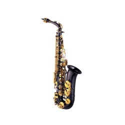 Saxo alto J.Michael 800 B