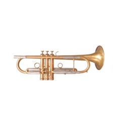 Trompeta Sib GP Flora 1176 Raw Brass