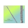 Flauta Sankyo CF-501 B E