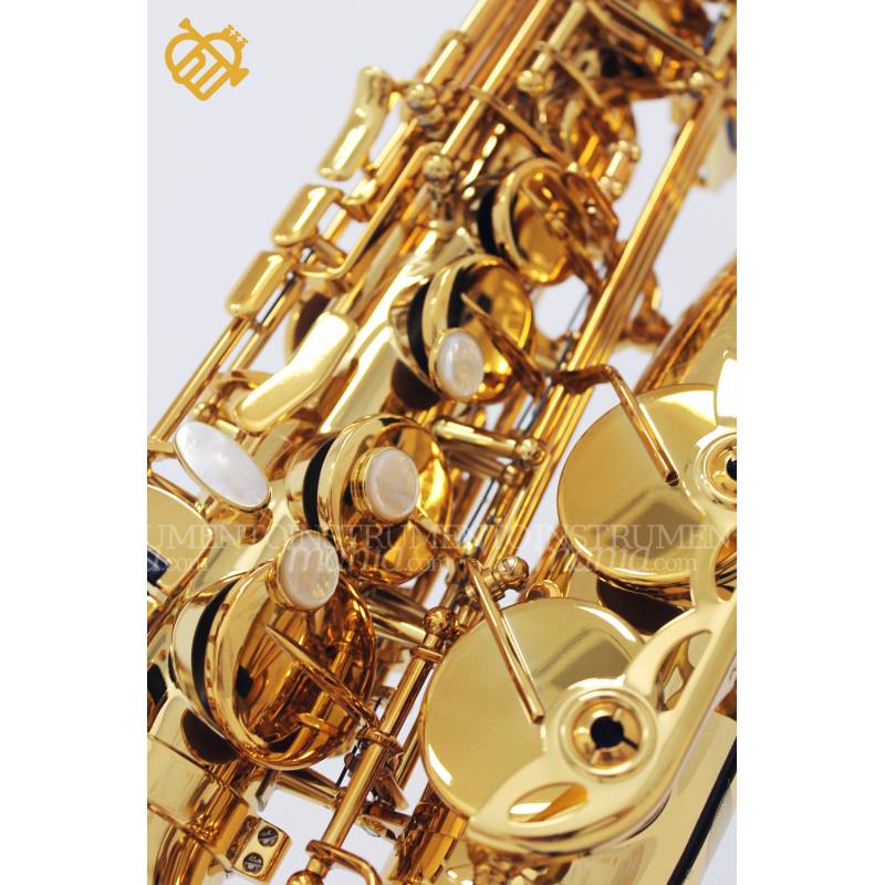 saxofon alto selmer signature
